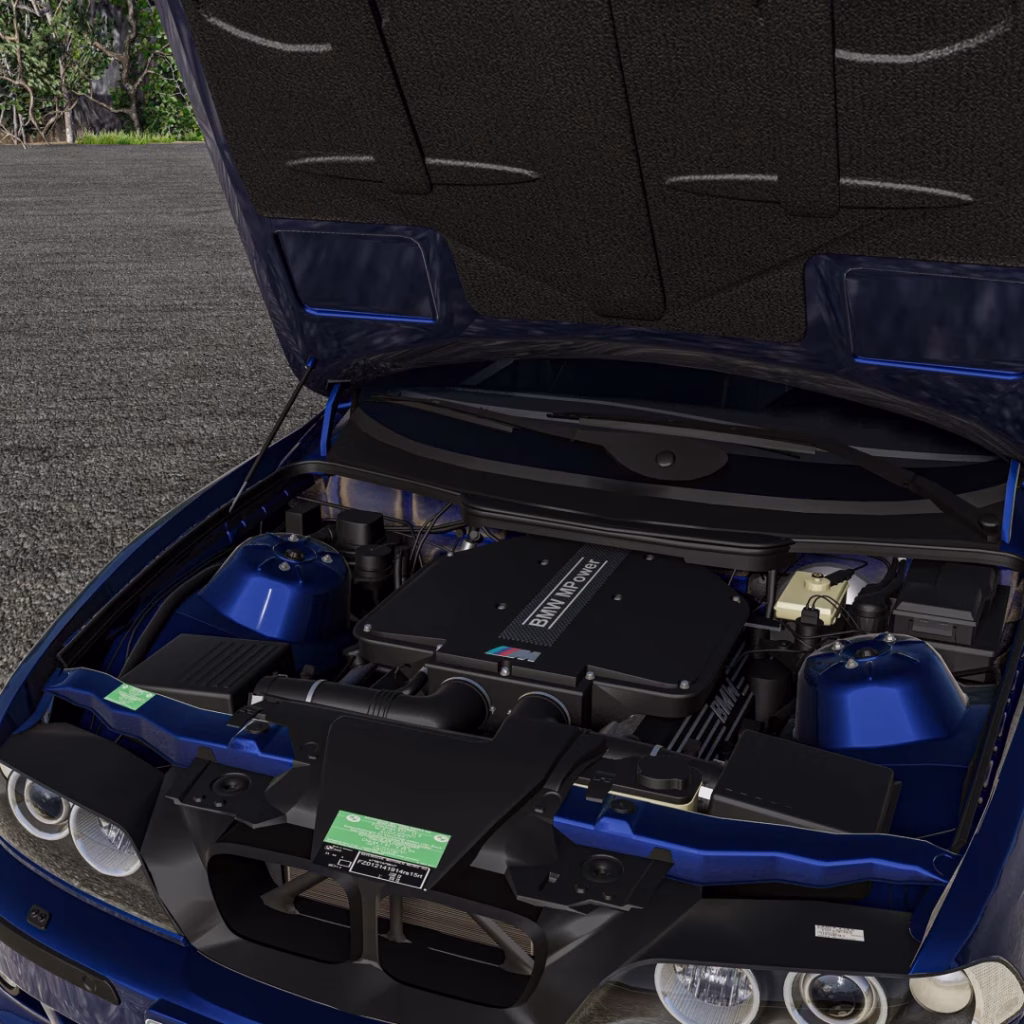BMW engine mod